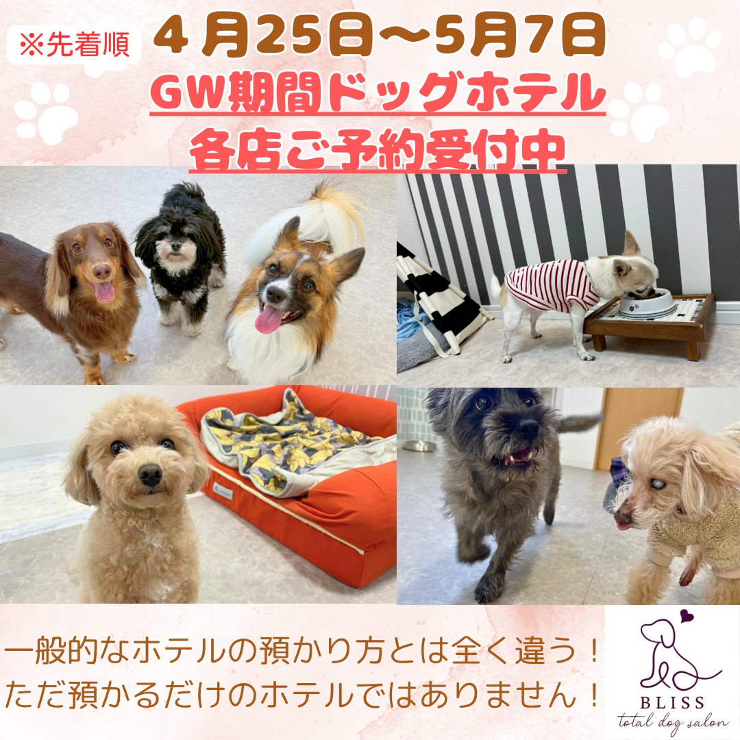 犬の総合施設BLISS total dog salon玉造駅前店